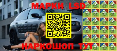 прущие грибы Ирбит