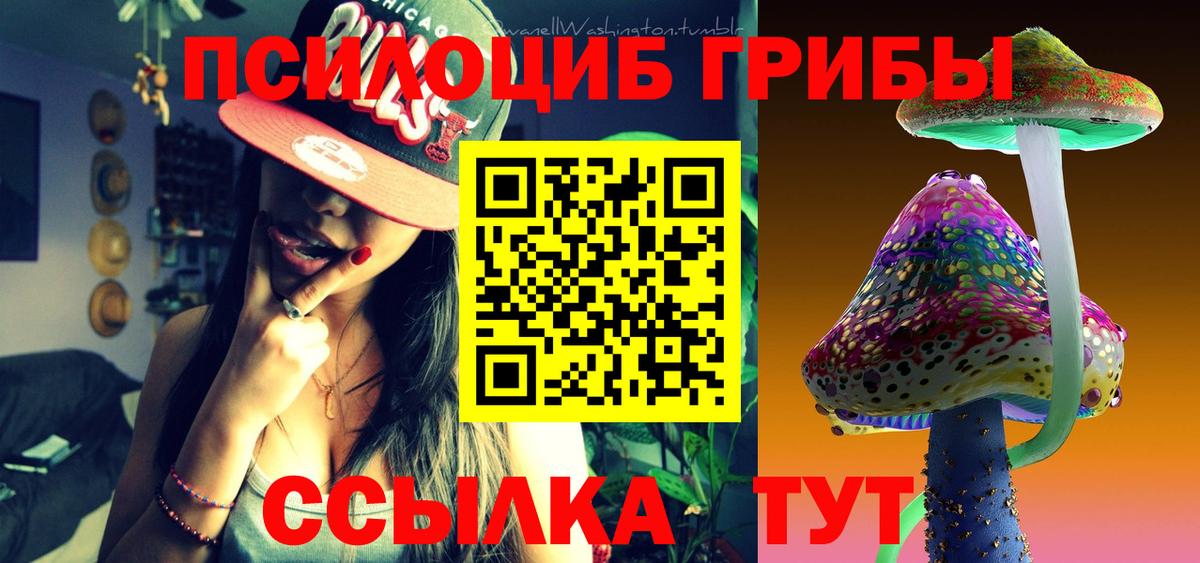 Кореновск  Псилоцибиновые грибы MAGIC MUSHROOMS  Вход с VPN  Псилоцибиновые грибы GOLDEN TEACHER 